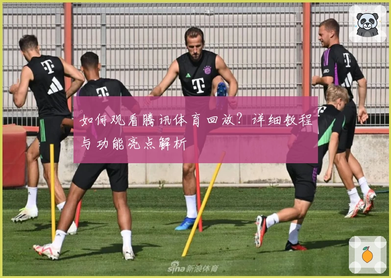 如何观看腾讯体育回放？详细教程与功能亮点解析